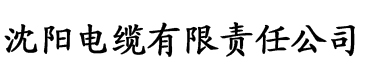 丁香五月情电缆厂logo